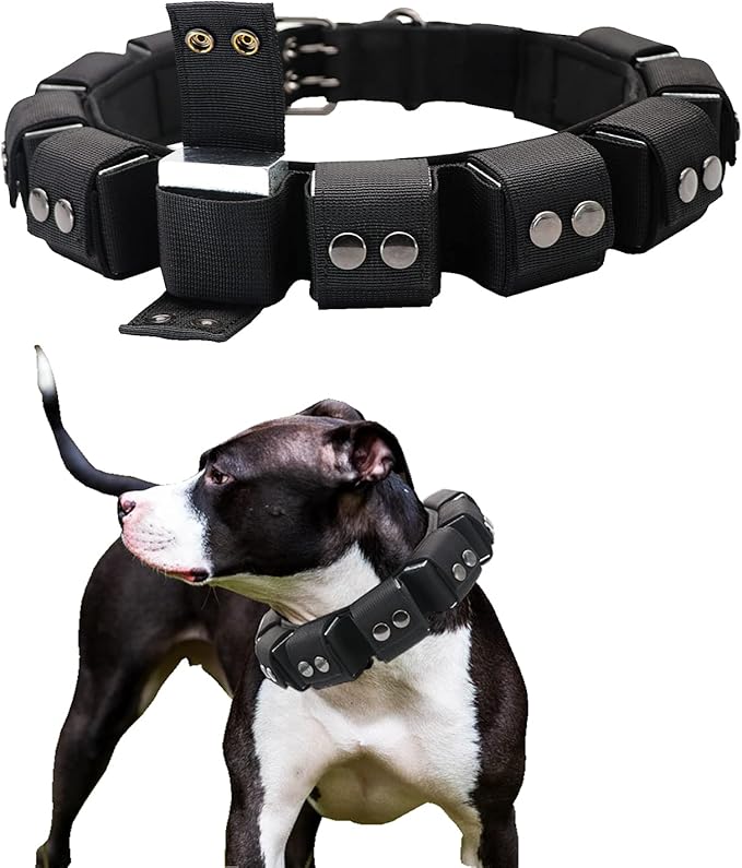 Tactical Weighted Dog Collar - Weights for Training & Exercise - Small, Medium, Large Dogs