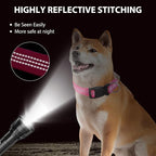 Martingale Dog Collar with Quick Release Buckle Steel Chain No Pull Training Reflective Collar for Medium Large Dogs(Pink, Medium)