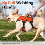 rabbitgoo Escape Proof Dog Harness, Soft Padded Full Body Pet Harness, Reflective Adjustable No Pull Vest with Lift Handle and Leash Clip for Large Dogs Walking Hiking Training, L, Orange
