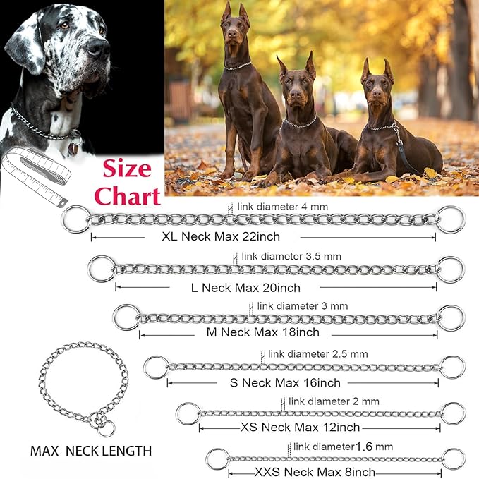 Dog Chain Collars, Slip Link Training Puppy Collars Heavy Duty Dog Collar for XXS XS Small Medium Large Dogs, Silver XXS