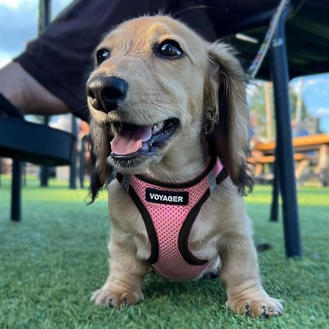 Best Pet Supplies Voyager Step-in Air All Weather Mesh Harness and Reflective Dog 5 ft Leash Combo with Neoprene Handle, for Small, Medium and Large Breed Puppies - Pink Base, XS