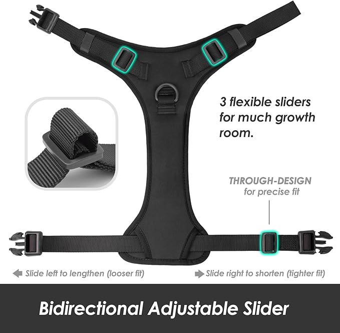 No Pull Dog Harness, Puppy Vest with Front Clip for Small Medium Large Sized Dog(Black,S)