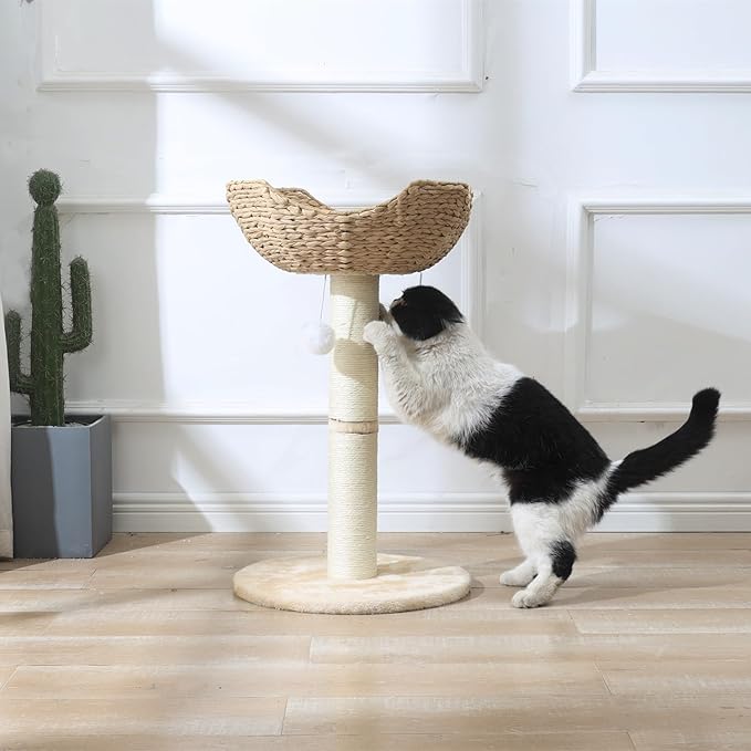 SHENGOCASE Small Cat Tree Tower with Large 17.7" Rattan Wicker Basket, Handwoven Nest Basket Bed, Window Perch for Large Cats up to 25LBS