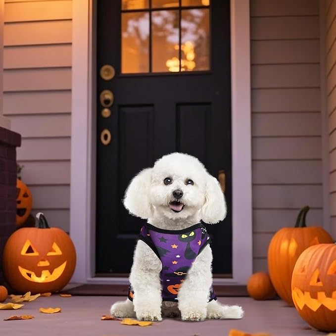 6 Pack Halloween Dog Clothes for Small Dogs, Soft and Breathable Puppy Kitten Dog Shirts for Pet Cats, Dogs' T-Shirts Apparel Sleeveless Vests for Yorkies (Happy Halloween, Small)