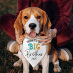 Soon to Be Big Brother 2026 Dog Bandanas Pregnancy Announcement Big Brother White Pet Apparel Bandana Gender Reveal Photo Prop Accessories for Dog Lovers Owner Gift