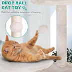 Dkeli Cat Tree for Indoor Cats Condo Tower with Scratching Post Tease Ball Perches Platform Small and Medium 54 Inch Multi-Level, Beige