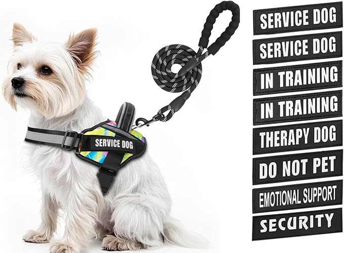 Service Dog Vest Harness and Leash Set, Animire in Training Dog Harness with 10 Dog Patches, Reflective Dog Leash with Soft Padded Handle for Small, Medium, Large, and Extra-Large Dogs