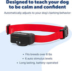 PetSafe Basic Bark Control Collar - Effective & Accurate Bark Detection Collar - Safe & Reliable Training with Multiple Static Stimulation Levels - Waterproof & Battery-Operated