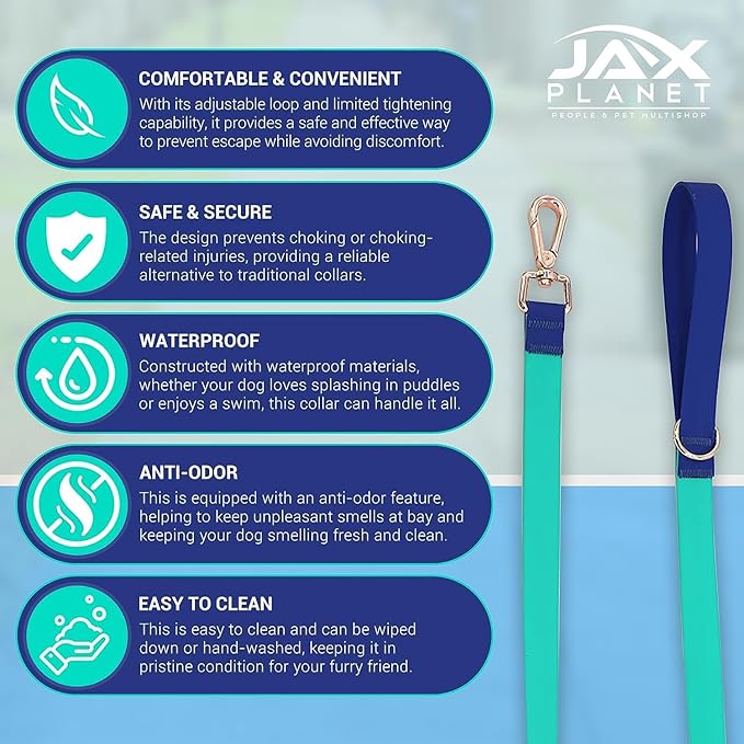 Jelly Colorful Dog Leash, Waterproof Training Leash for Walking, Hiking & Outdoor Activities, Non-Slip Grip, Anti-Odor Nylon Lead with Alloy O-Ring, Heavy Duty - M150, 5FT - Turquoise & Blue, M