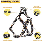 QQPETS Dog Harness Leash Set Adjustable Heavy Duty No Pull Halter Harnesses for Small Medium Large Breed Dogs Back Clip Anti-Twist Perfect for Walking (L(23"-32" Chest Girth), White Daisy)