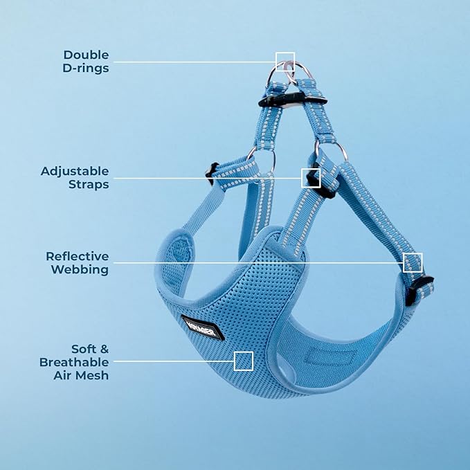 Best Pet Supplies Voyager Adjustable Step-In Flex Breathable Mesh Dog Harness for Small Medium Large Dogs (Baby Blue), S