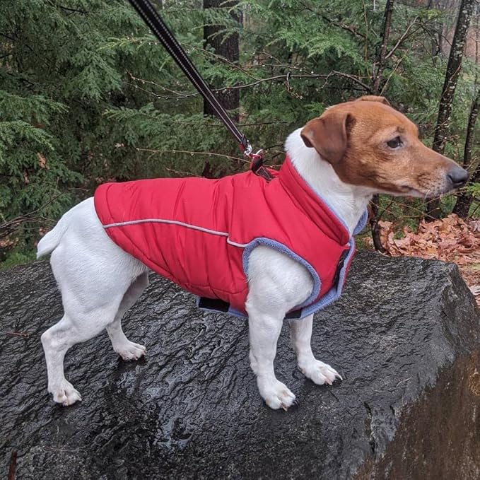 Gooby Sports Vest Dog Jacket - Red, Small - Reflective Dog Vest with D Ring Leash Warm Fleece Lined Hook and Loop Closure for Small to Medium Dogs