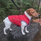 Gooby Sports Vest Dog Jacket - Red, Small - Reflective Dog Vest with D Ring Leash Warm Fleece Lined Hook and Loop Closure for Small to Medium Dogs