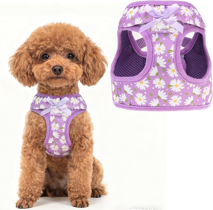PUPTECK Dog Harness for Puppy and Small Sized Dogs, Step-in No Pull Soft Mesh Vest Harness for Cats Small Pets Walking, Purple Dasiy, New XXS