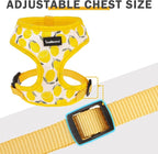 SCENEREAL Small Dog Harness and Leash Collar Set - No Pull Dog Harness for Small & Medium Sized Dogs - Soft Mesh Vest for Puppies, Chihuahua, Yorkie, Spring Summer Hiking Walking, Yellow Lemon XS