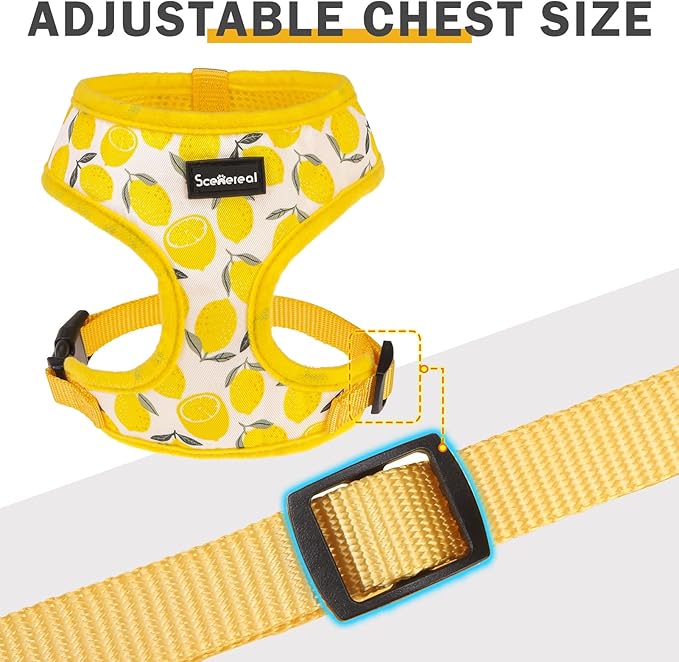 SCENEREAL Small Dog Harness and Leash Collar Set - No Pull Dog Harness for Small & Medium Sized Dogs - Soft Mesh Vest for Puppies, Chihuahua, Yorkie, Spring Summer Hiking Walking, Yellow Lemon S