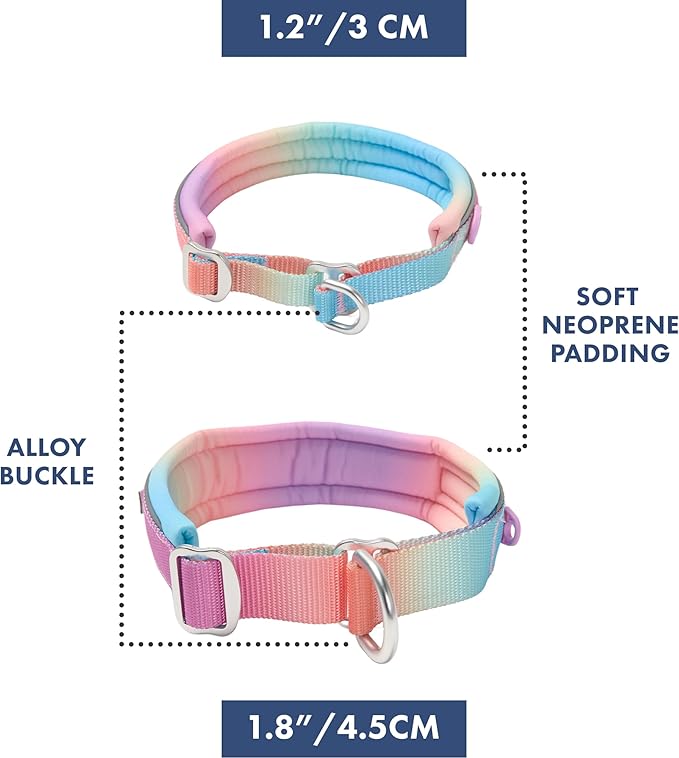 Spark Paws Martingale Dog Collar – Cushioned Slip-On Training Collar, Heavy Duty, Safety-Tested No-Buckle Collar for Medium & Large Dogs - Pastel Icing - B