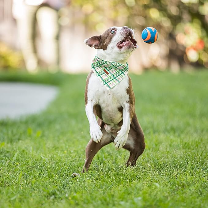 Elegant Little Tail Dog Bandana - Spring Pet Birthday Cotton Bibs Scarf Green Soft Adjustable Square Kerchief for Small to Large Dogs