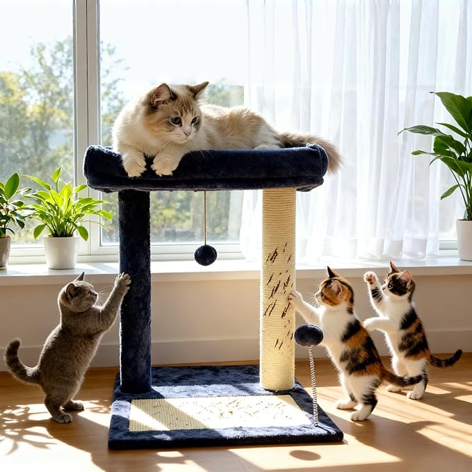 Cat Tree, 19.69" H(50cm) Cat Scratching Post with Cat Bed, Scratching Posts for Indoor Cats with Two Plush Balls Toy, Small Cat Tree for Kittens/Cats Playing and Relaxing