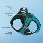 Best Pet Supplies Voyager Step-in Air Harness - All Weather Mesh, Reflective, No Pull Harness for Dogs, Cats - Secure with Hook & Loop Fastener, Buckle, Double D-Rings - Turqupise 2-Tone, XS