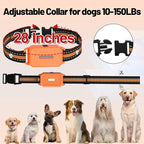 Shock Collar with Remote Control for Dogs, 3 Pack (5–150Lbs), 4400FT, IP67 Waterproof Collar 5 Training Modes with Light, Shock Collars for 3 Dogs E-Collars for Small Medium Large Dogs