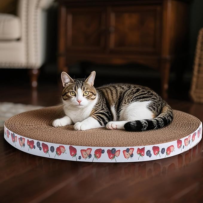 Round Cat Scratcher Pad 10 inch Diameter 3/5 inch Thickness Scratch Replacement Refill Scratching Board Cat scratchers for Indoor Cats (5 Pc)