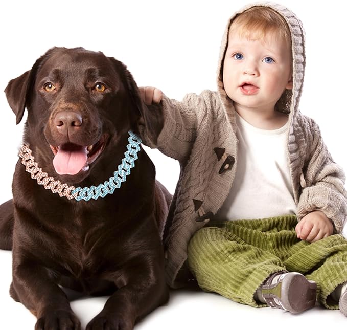 Metal Diamond Dog Chain Dog Training Chain with Secure Buckle Pet Collars for Large Medium Dogs