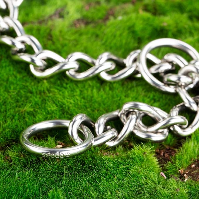 SGODA Dog Chain Collar Training Choke Collar, 18 in, 2.5 mm