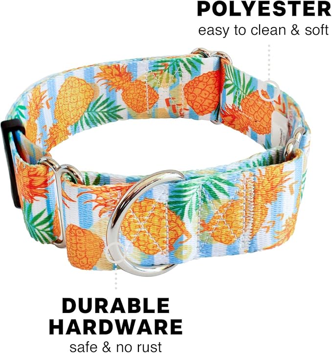 Downtown Pet Supply Big and Wide Durable Martingale Training Collars for Dogs and Puppy in Small,Medium,Large,and Extra Large Dog Collar (Pineapple),X-Large: 18.5 inch-34