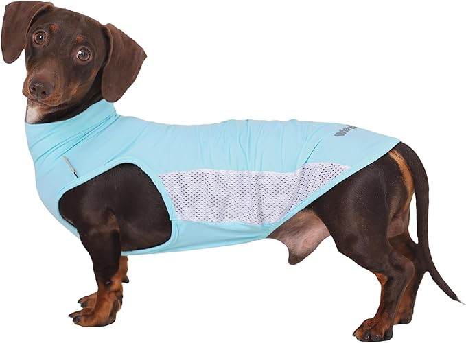 Dachshund Dog Cooling Vest, Breathable Summer Dog Cooling & Quick-Dry Shirt for Outdoor Activities,Mini Dachshund Lightweight Clothes, Vest Small Dogs (Blue, L(16-22 lbs))