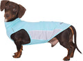 Dachshund Dog Cooling Vest, Breathable Summer Dog Cooling & Quick-Dry Shirt for Outdoor Activities,Mini Dachshund Lightweight Clothes, Vest Small Dogs (Blue, L(16-22 lbs))