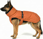Dog Winter Coat, Warm Puffer Jacket with Fur-Safe Buckle & Leash Hole for Cold Weather, Water-Repellent Snow Vest, Breathable Thermal Apparel for Hiking & Active Dogs (Aurantium, XX-Large)
