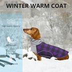 Dog Winter Coat,Dachshund Clothes,Waterproof Miniature Dachshund Jacket with Harness Hole,Dachshund Jumper with Turtle Neck,British Style-Purple Plaid-L