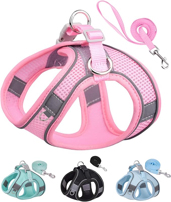 Solmoony Dog Harness for Small Medium Large Dogs No Pull, Puppy Harness and Leash Set, Puppy Harness, Step in Harness for Small Dogs, mesh Dog Harness. (Pink, XXS)