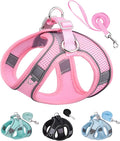 Solmoony Dog Harness for Small Medium Dogs No Pull, Puppy Harness and Leash Set, Puppy Harness, Step in Harness for Small Dogs,mesh Dog Harness. (Pink, S)