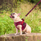 PUPTECK Soft Mesh Dog Harness and Leash Set Step-in Plaid Puppy Padded No Pull Vest Harness for XS Small Medium Sized Dogs Cats Outdoor Walking, Red M