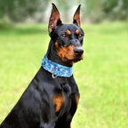 1.5 Inch Martingale Collar for Dogs, Wide, Big & Thick, No-Slip, Escape Proof, Choke-Free, No Pull Cinch Collar for Medium, Large, Extra Large Dogs - Blue L
