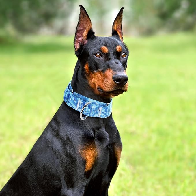 1.5 Inch Martingale Collar for Dogs, Wide, Big & Thick, No-Slip, Escape Proof, Choke-Free, No Pull Cinch Collar for Medium, Large, Extra Large Dogs - Blue XL