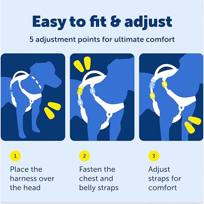 PetSafe Easy Walk Comfort No-Pull Dog Harness - Better Walk Training Harness - Full Body Padded Design - Durable Fabric - 5 Point Adjustable Fit - Everyday Leash Training - Blue - Small/Medium