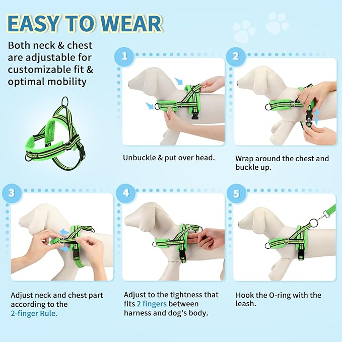 Lukovee No Pull Dog Harness and Leash Set, Soft Padded Small Dog Harness, Neck & Chest Adjustable Reflective Vest Puppy Harness with 4ft Lightweight Anti-Twist Dog Leash for Small Dogs (XXS, Green)