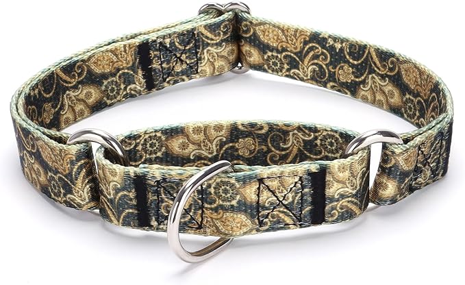 Martingale Dog Collars - Flower Multicolor Cute Patterns, Adjustable Nylon Training Dog Collar Suitable for Boy and Girl Dogs Medium Large Dogs (L, Gold)