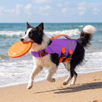 Lelepet Dog Life Jacket, High Flotation Dog Life Vest for Swimming, Boating, Ripstop Reflective Pet Swim Vest for Small Medium Large Dogs Pool Floats Adjustable Swimming Vest for Dogs Water Safety