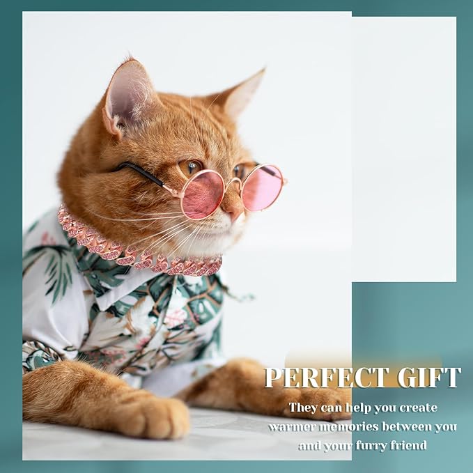 Xuniea 2 Pieces Cat Dog Chain Collar and Sunglasses Set Rhinestone Necklace with Secure Buckle Round Glasses for Doll Cat Dog Pet Accessories(12 Inch,Rose Gold, Pink)