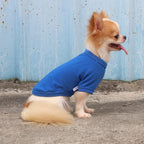 LOPHIPETS 100% Cotton Dog Tee Shirt for Small Dogs Teacup Chihuahua Yorkie Puppy Clothes-Blue/S