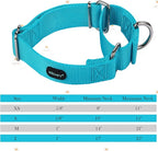 Mikivery Martingale Dog Collar Nylon Adjustable and Safety Training Colourful Comfortable Metal Buckle Pet Collars for Small Medium and Large Dogs(Ice Blue,M)