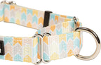 Downtown Pet Supply - Martingale Collar for Dogs - Dog Training Collar - Big, Wide & Thick Dog Collar - Escape-Proof, Weatherproof, Durable and Comfortable - Chevron - Large Dog Collar