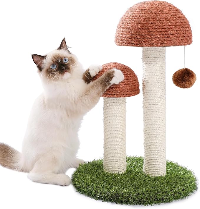 PETEPELA Flower Cat Tree for Indoor Cats, 31.5'' Small Cat Tower Cat Condo with Sisal Scratching Ramp+ Cat Scratching Post, Mushroom Tall Cat Scratcher Featuring with Natural Sisal Scratching Poles