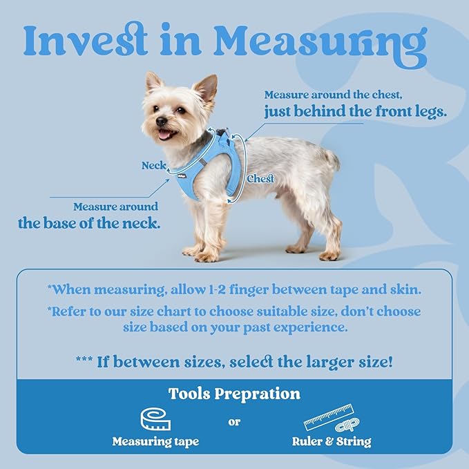 rabbitgoo Small Dog Harness, Step-in Soft Mesh Puppy Vest with Safety Buckle, Breathable Reflective Pet Harness for Small Medium Dogs, Blue L