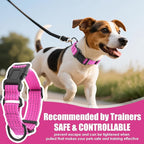Martingale Collar for Dogs, Adjustable Soft Nylon Dog Collars with Special Design Cute Patterns (Pink, L (1" x 19"-26"))