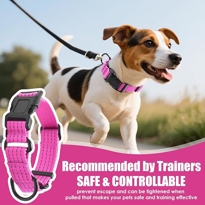Martingale Collar for Dogs, Adjustable Soft Nylon Dog Collars with Special Design Cute Patterns (Pink, L (1" x 19"-26"))